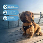 Best Pet Supplies Voyager Step-in Air Harness - Image 3