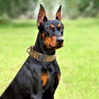 Tactical Dog Collar Set, Adjustable Military Training Nylon Dog Collar - Image 6