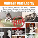 21 Pcs Cat Toys for Indoor Cats Collapsible Cat Tunnel Interactive Feather - Image 7