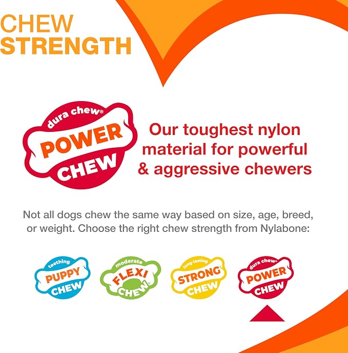 Nylabone Textured Bone Power Chew Toy - Image 5