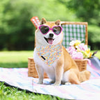 ARING PET Girl Dog Bandana, Spring Summer Daisy Floral Pet Bandana Scarf - Image 4