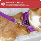 Downtown Pet Supply Step in Dog Harness No Pull - Image 6