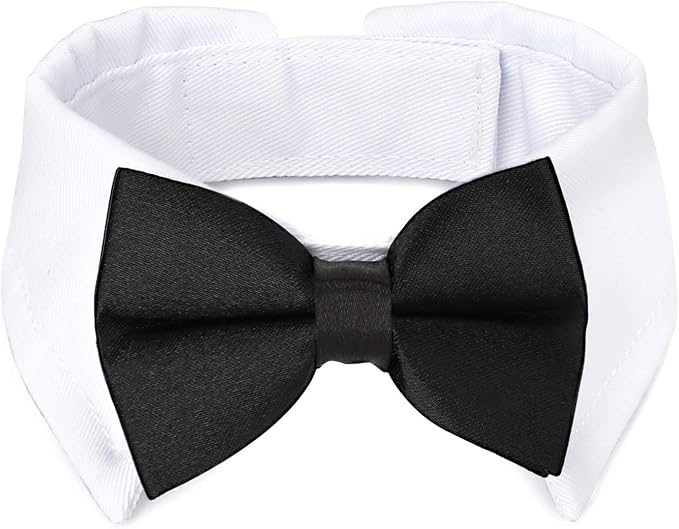 Segarty Bow Tie Cat Collar for Neck Girth 8.8-10.5 in, Tux Puppies Dog Bowtie by Segarty