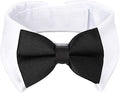 Segarty Bow Tie Cat Collar for Neck Girth 8.8-10.5 in, Tux Puppies Dog Bowtie by Segarty