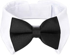 Segarty Bow Tie Cat Collar for Neck Girth 8.8-10.5 in, Tux Puppies Dog Bowtie by Segarty