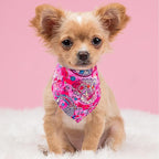 30 Pack Paisley Dog Bandanas for Small Dogs Stitch Bandanas Bulk Reversible - Image 6