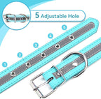 PETCARE Reflective Dog Collar - Image 6