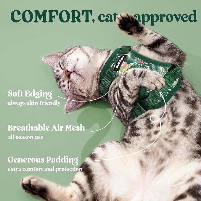 rabbitgoo Cat Harness and Leash - Image 4