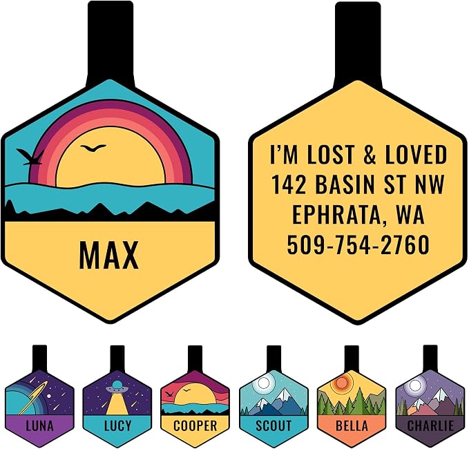 GoTags Silent Dog Tag, Personalized Engraved Hexagon Silicone Dog and Cat Name by GoTags
