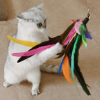 Da Bird Feather Refill - Image 3