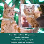 Yizepet Cat Collars, Breakaway Kitten Collar, Cute Kitty Collar, Pet Supplies - Image 7