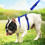 6 Pack Adjustable Cat Leash Harness Leash, Bunny Harness Leash - Image 4