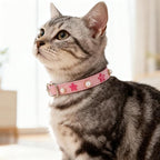 EXPAWLORER Leather Cat Collar for Girl Boy- Adjustable Pet Collar - Image 6