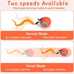 BABORUI 2Pack Orange Interactive Cat Toy Ball - Image 4