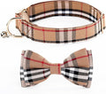 Yizepet Dog Collar with Bow Tie- Adjustable pet Collar by Yizepet