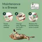 Purina Tidy Cats Litter Pellets, Breeze Refill Litter Pellets in Recyclable Box - Image 7