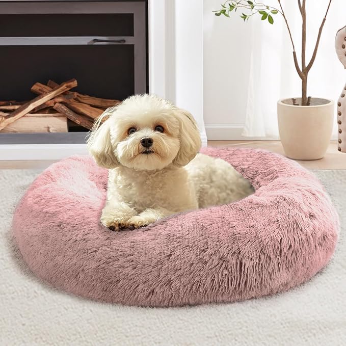 JOLLYVOGUE Calming Small Dog & Cat Bed by JOLLYVOGUE