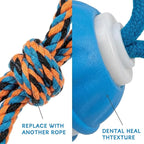 Interactive Dog Toys ，2026 upgraded motion-sensing pet toy ball, interactive - Image 5