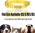 Nylon Dog Collar - Image 8