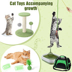 Eccliy Kitten Starter Kit, Pet Toy, Folding Carrier, Climbing Frame, Automatic - Image 7