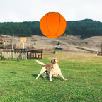Herding Ball for Dogs, Dual Layered Herding Dog Ball Set for Australian Shepherd - Image 2