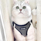 Best Pet Supplies Voyager Step-in Air All Weather Mesh Harness and Reflective - Image 7