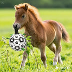 Amasiver Dog Soccer Ball Toys - Image 5