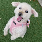 Best Pet Supplies Voyager Step-in Air Harness - Image 7
