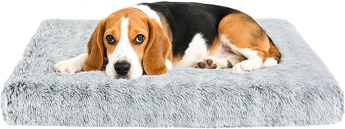 Fluffy Orthopedic Dog Beds for Medium Dogs by Kimpets