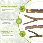 5PCS Natural Wood Bird Perch Set - Image 4
