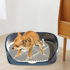 Dog Tray with Wall for Cats and Dogs, Elevated Pet Feeding Station, - Image 7
