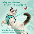 rabbitgoo Cat Harness and Leash - Image 3