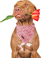Valentine Dog Bandana, Cotton Pet Kerchief - Image 2