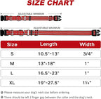 Martingale Dog Collar, Adjustable Nylon Reflective Collar - Image 4