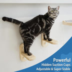 PETKARAY Cat Window Shelf, Original Cat Window Perch Stairs, Durable Kitty Seat - Image 4