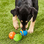 Chuckit! Fetch Pack Dog Ball Dog Toys, Medium Pack of 3, - Image 2