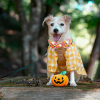 Fall Dog Collar - Image 6