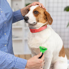 500 Count 20inch Adjustable Paper Dog Collars - Image 4