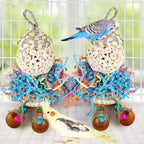 Conure Toys - Image 4