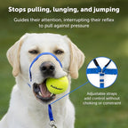 PetSafe Gentle Leader Headcollar No-Pull Dog Collar - Image 3