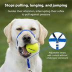 PetSafe Gentle Leader Headcollar No-Pull Dog Collar - Image 3