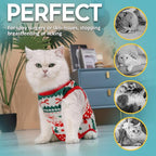 Avont Cat Recovery Suit - Image 4