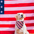 PTDECOR American US Flag Dog Bandana 4th of July Dog Bandanas Reversible - Image 2