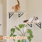 Burlywood Cat Furniture Indoor Set of 2: Wood Shelves - Image 3