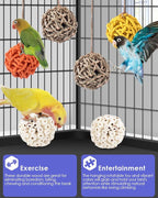 Bissap 6PCS Small Parrot Chew Toys, Sola Balls Conure Chewing Foraging Toys - Image 3