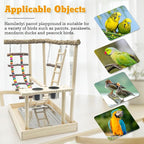 Hamiledyi Bird Playground Parrots Wood Perch Stand Cockatiel Playground Bird - Image 6