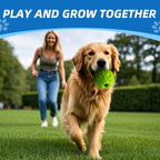 Dog Toys Ball, Interactive Dog Ball, No Paint, Gibbering Sound - Image 3