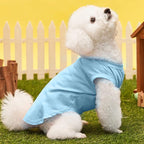 Custom Dog T-Shirts with Name for Pet Dogs, Breathable Personalized Print or - Image 7