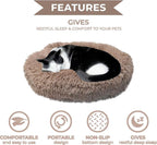 Whiskers & Friends Cat Bed, Cat Beds - Image 3