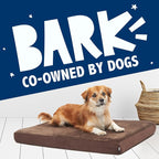 Barkbox Orthopedic Dog Bed | Comfortable Memory Foam Mattress - Image 7